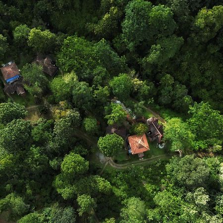 Mahout Resort Wayanad - An Experiential Jungle Stay With Waterfall カルペッタ エクステリア 写真