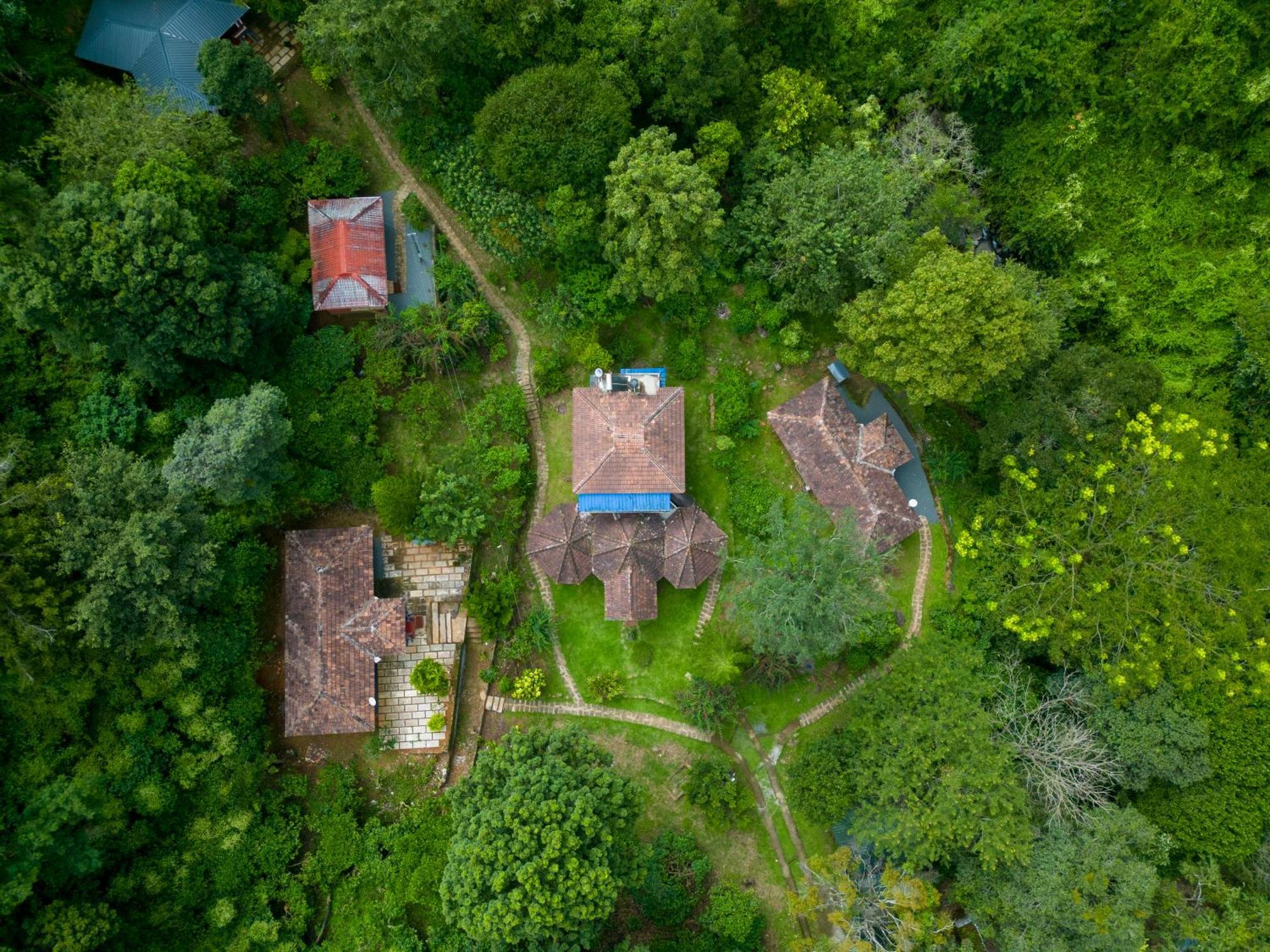 Mahout Resort Wayanad - An Experiential Jungle Stay With Waterfall カルペッタ エクステリア 写真