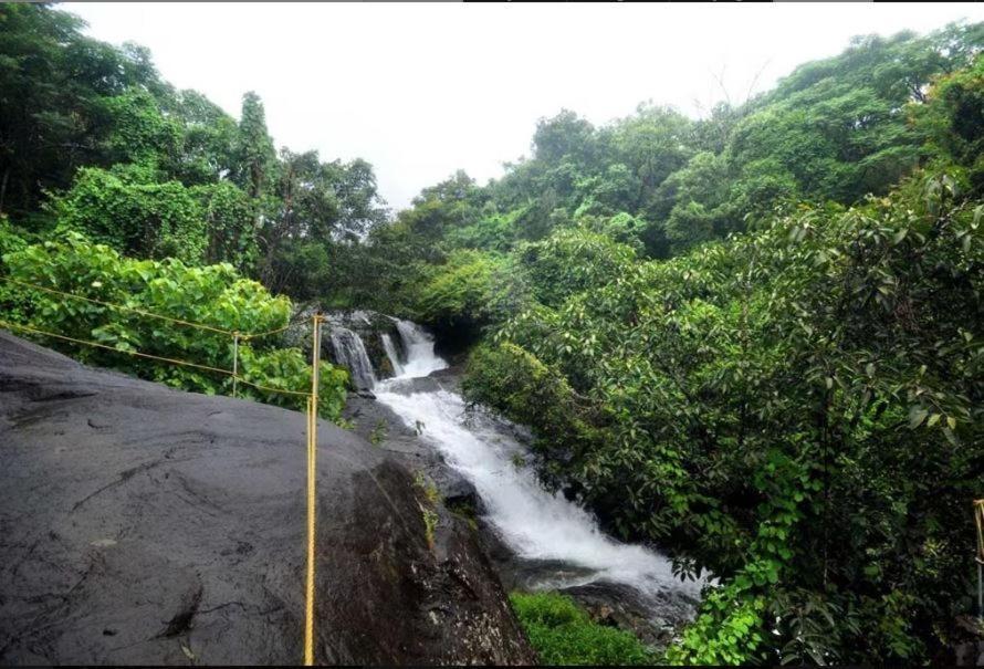 Mahout Resort Wayanad - An Experiential Jungle Stay With Waterfall カルペッタ エクステリア 写真