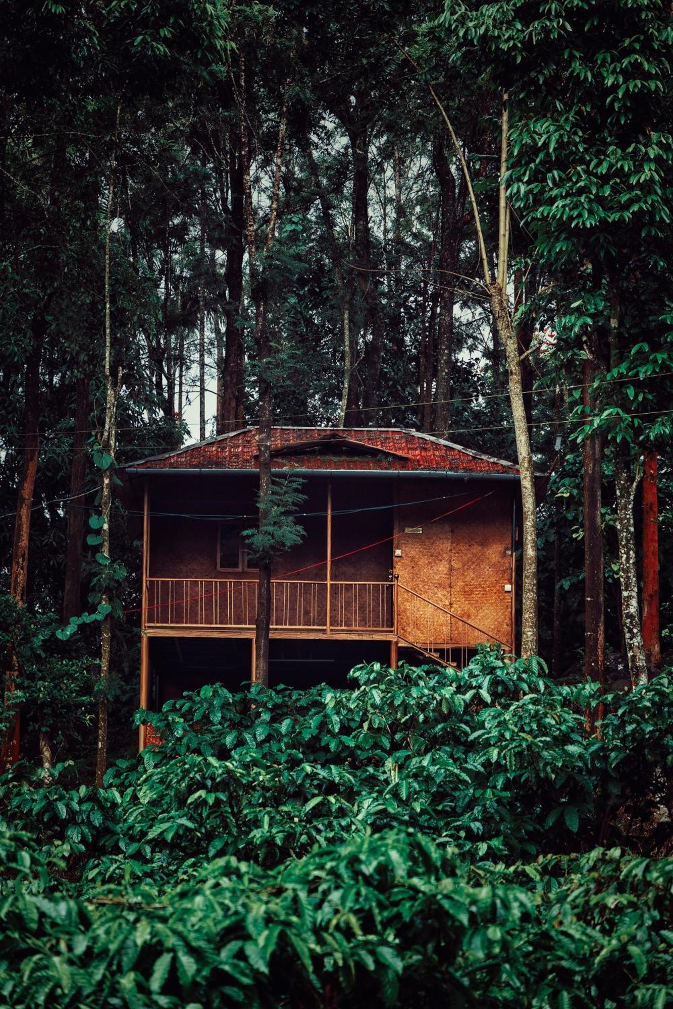 Mahout Resort Wayanad - An Experiential Jungle Stay With Waterfall カルペッタ エクステリア 写真