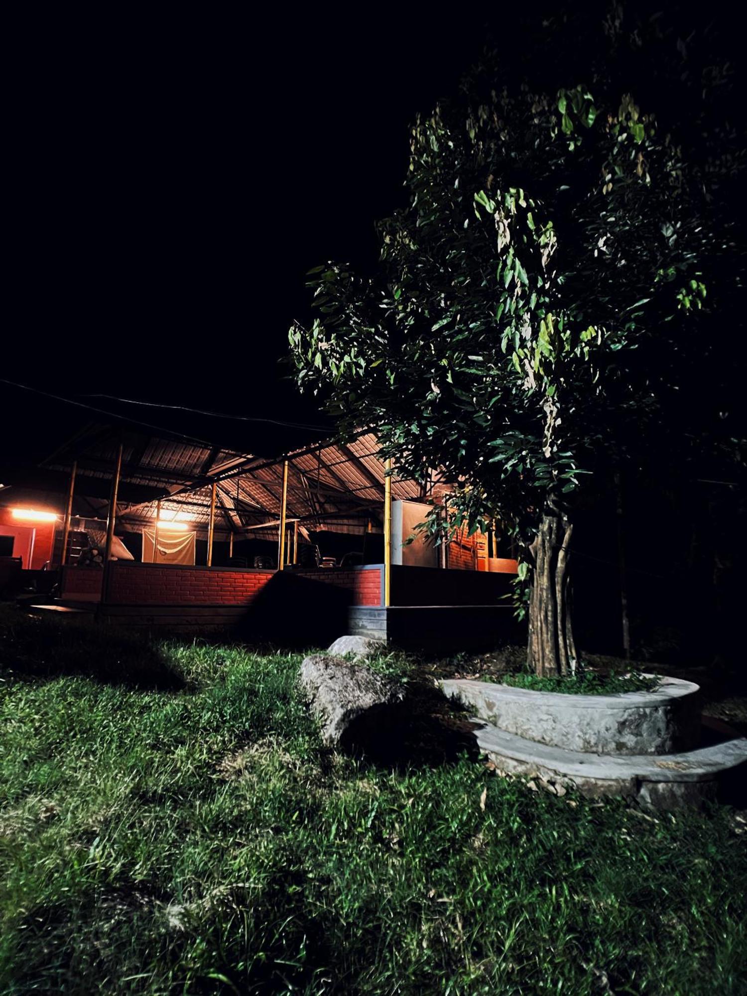 Mahout Resort Wayanad - An Experiential Jungle Stay With Waterfall カルペッタ エクステリア 写真