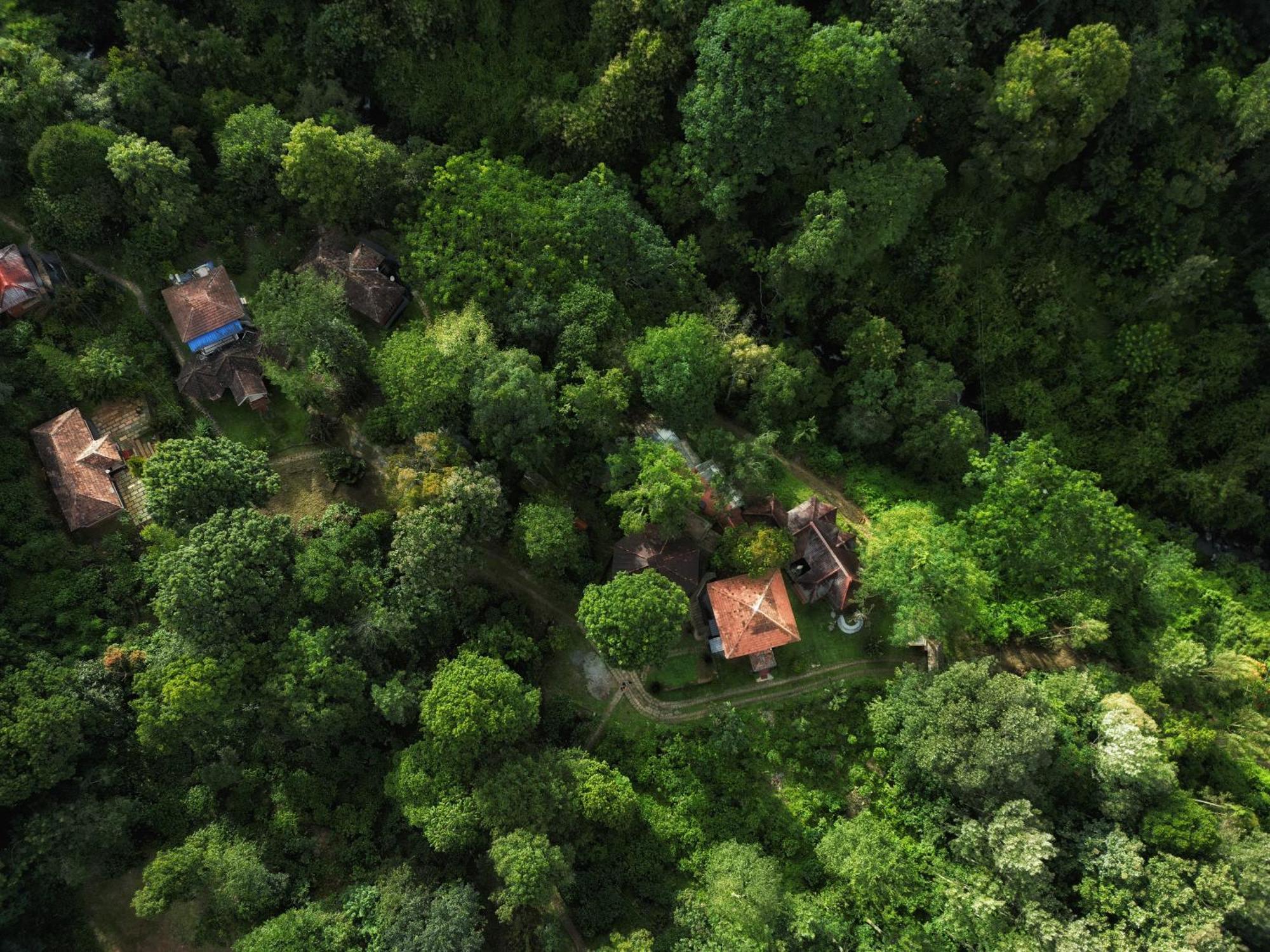 Mahout Resort Wayanad - An Experiential Jungle Stay With Waterfall カルペッタ エクステリア 写真