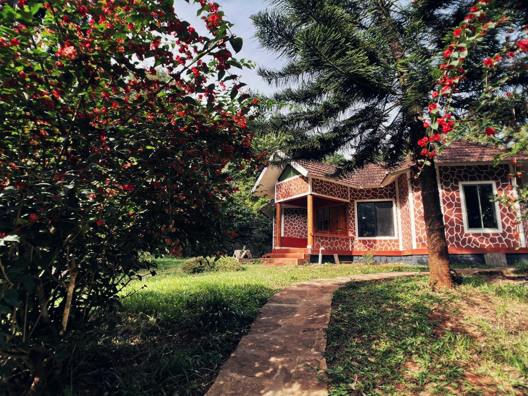 Mahout Resort Wayanad - An Experiential Jungle Stay With Waterfall カルペッタ エクステリア 写真
