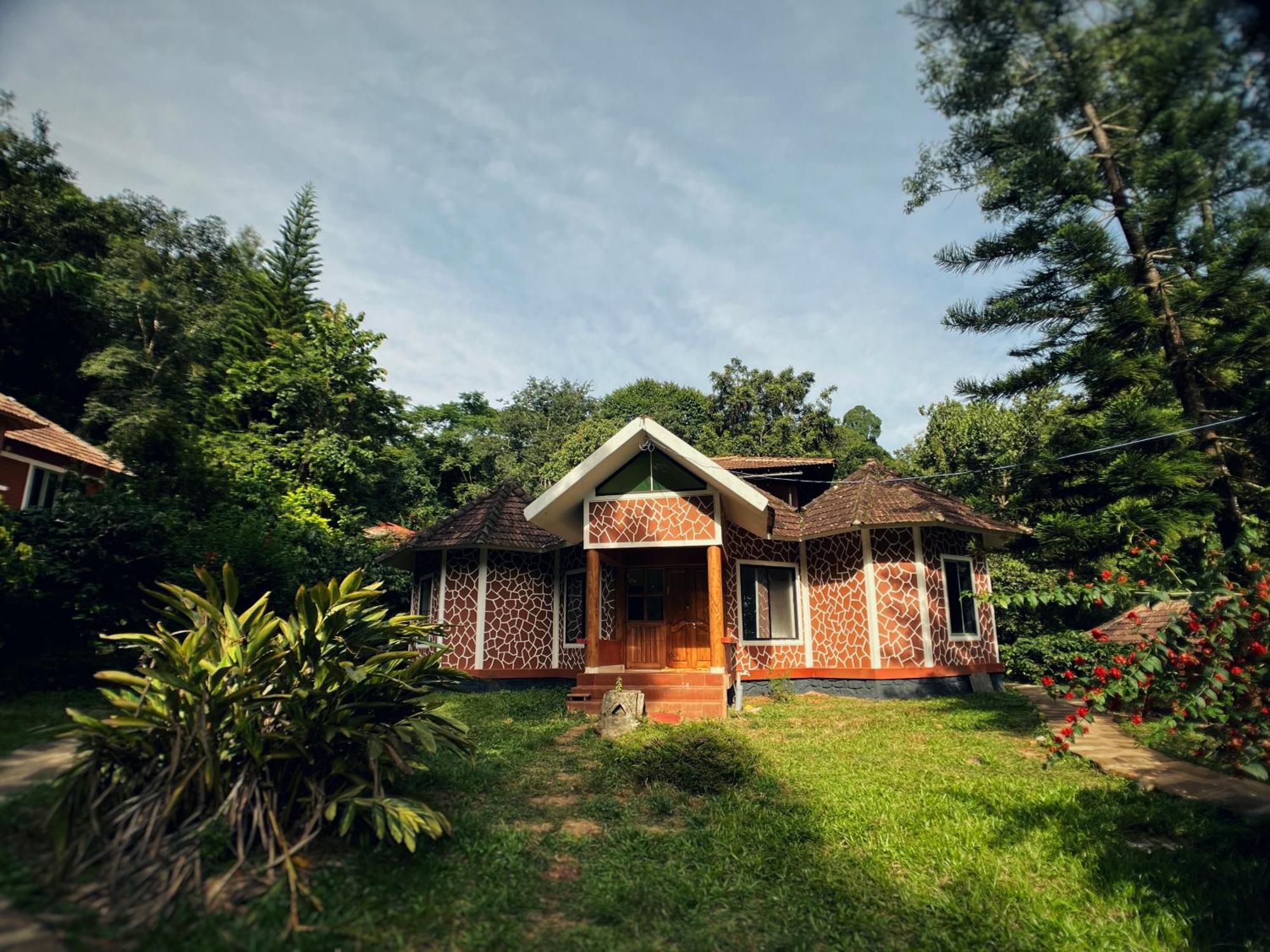 Mahout Resort Wayanad - An Experiential Jungle Stay With Waterfall カルペッタ エクステリア 写真