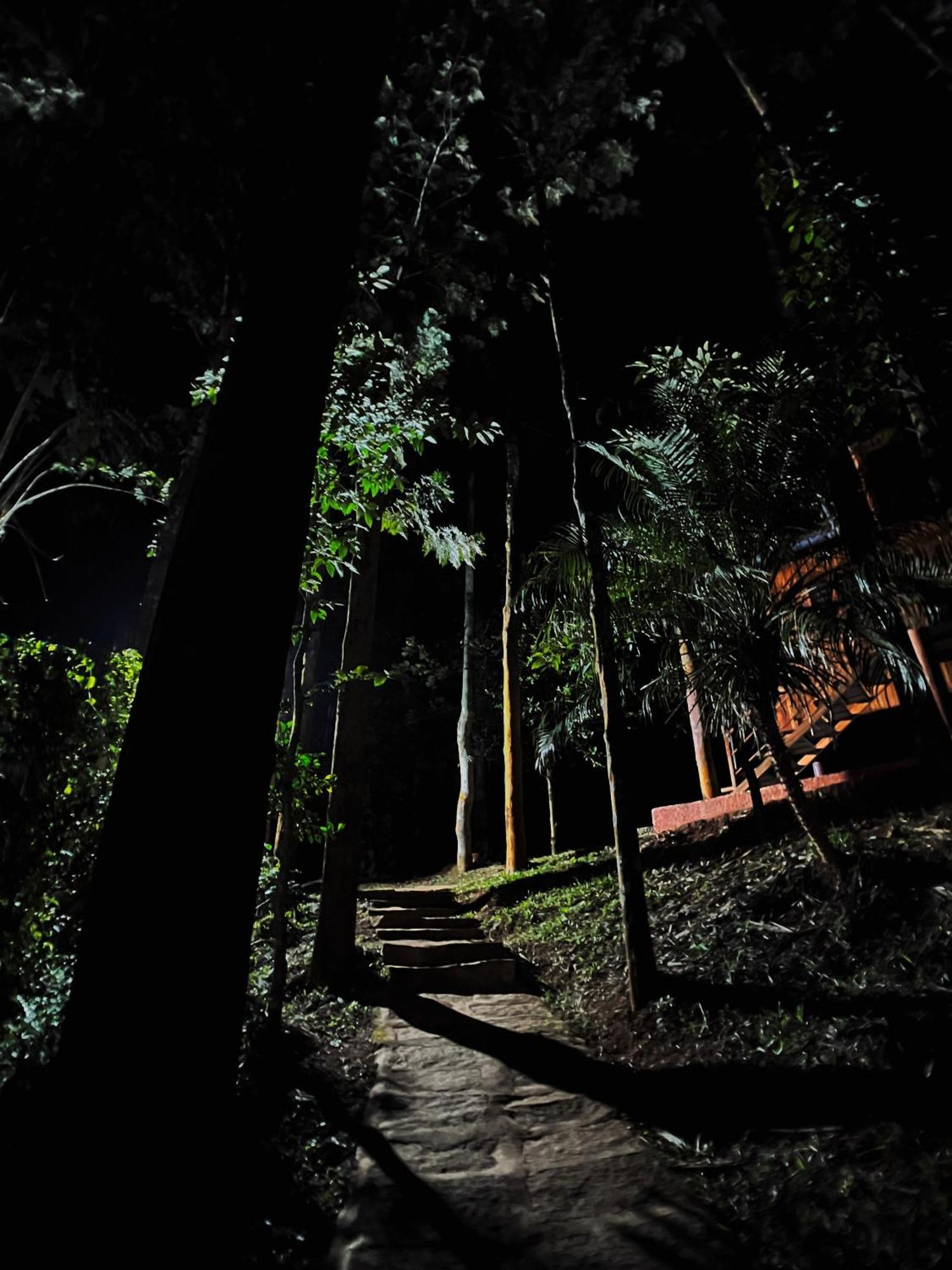 Mahout Resort Wayanad - An Experiential Jungle Stay With Waterfall カルペッタ エクステリア 写真