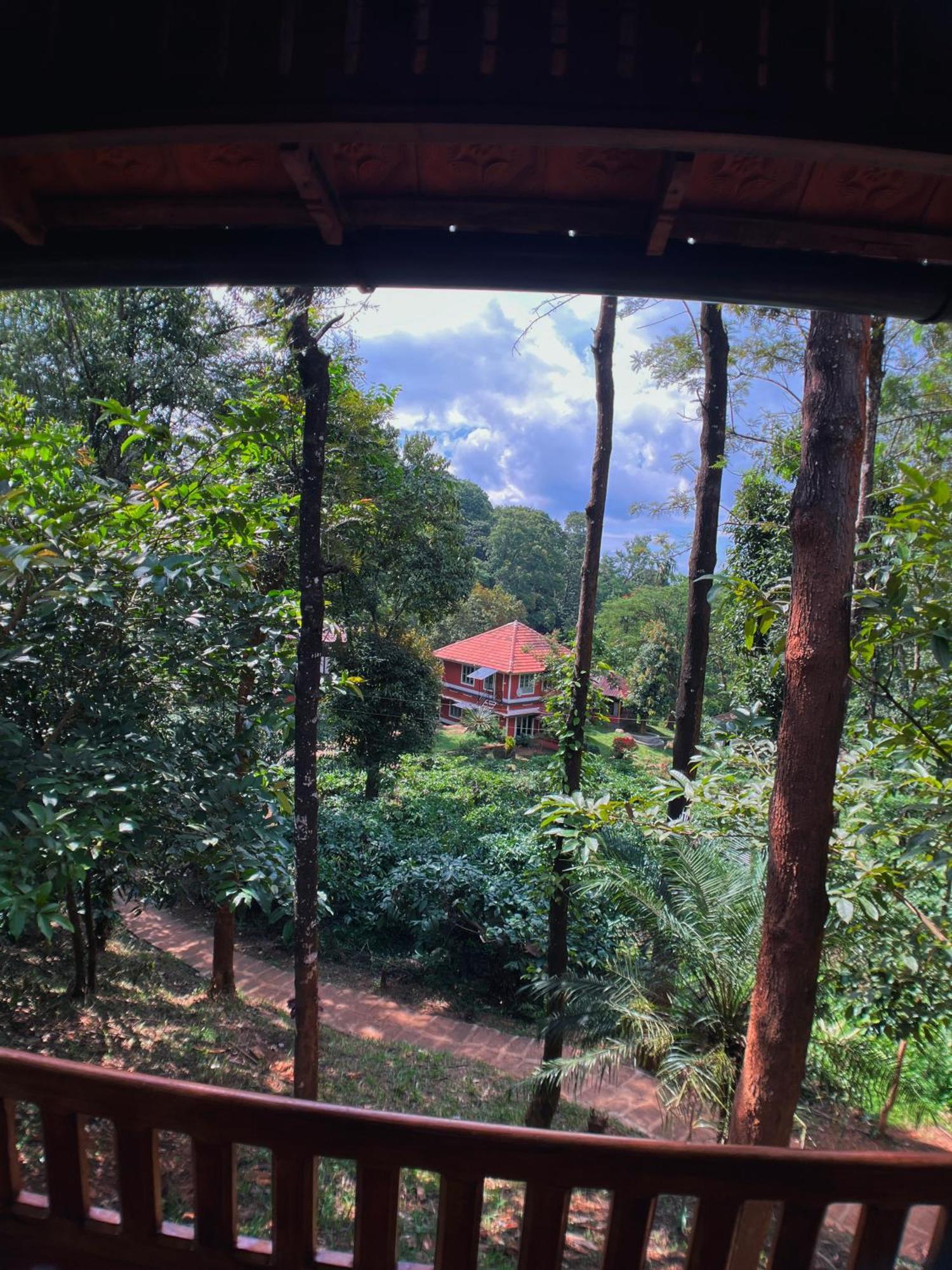 Mahout Resort Wayanad - An Experiential Jungle Stay With Waterfall カルペッタ エクステリア 写真
