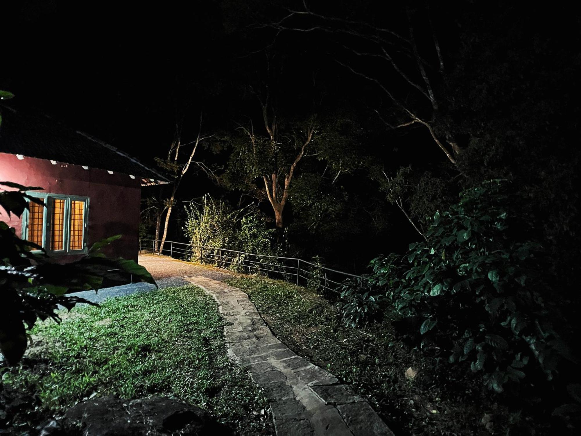 Mahout Resort Wayanad - An Experiential Jungle Stay With Waterfall カルペッタ エクステリア 写真