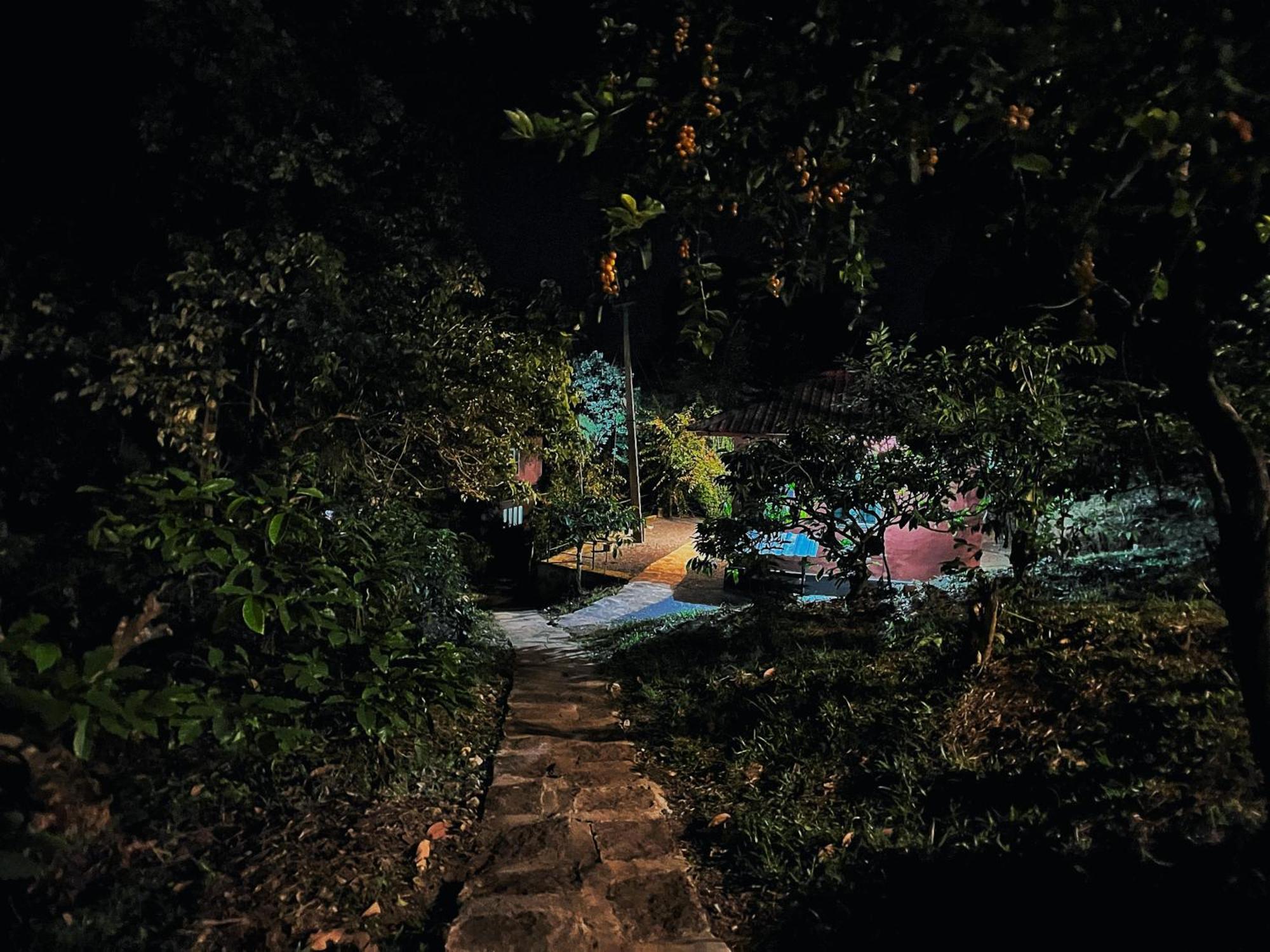 Mahout Resort Wayanad - An Experiential Jungle Stay With Waterfall カルペッタ エクステリア 写真